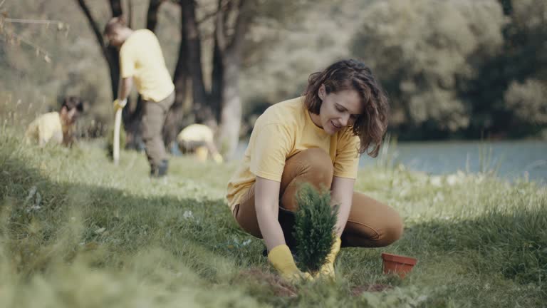 Best Lawn Drainage Solutions  in Madera, CA